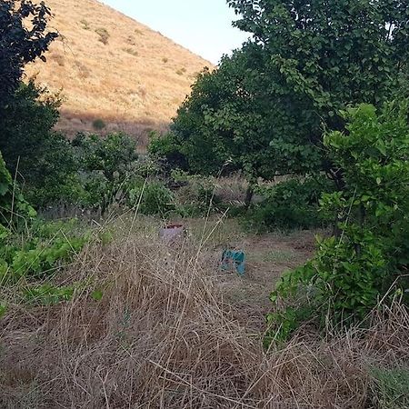 Dhriopís Κυθνος Δρυοπίδα, Στούντιο Χατζής 빌라 외부 사진