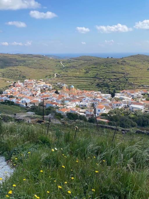 Dhriopís Κυθνος Δρυοπίδα, Στούντιο Χατζής 빌라 외부 사진